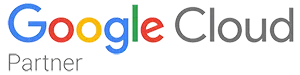 Google Partner 1